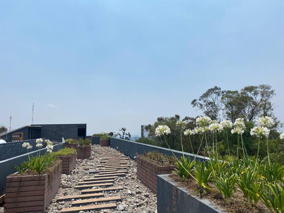Nuevo Y Ubicado Departamento Zona Santafe Apartment Ciudad de México Exterior foto